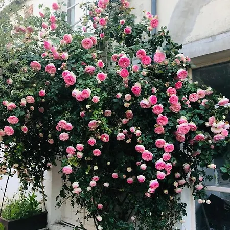 Saint Denis 1 شقة