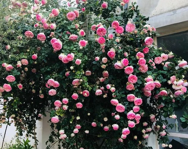 Saint Denis 1 公寓