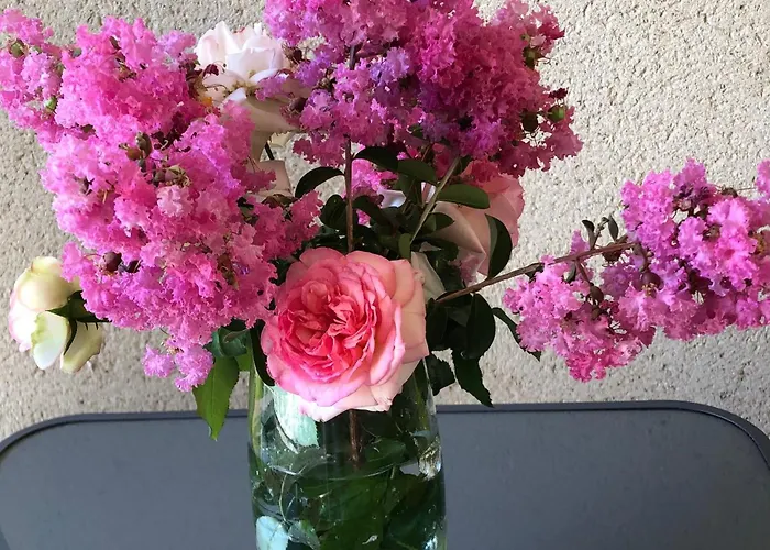 公寓 Saint Denis 1